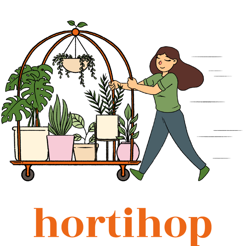 house plant repotting service Plant Repotting Service in New York City – Hortihop