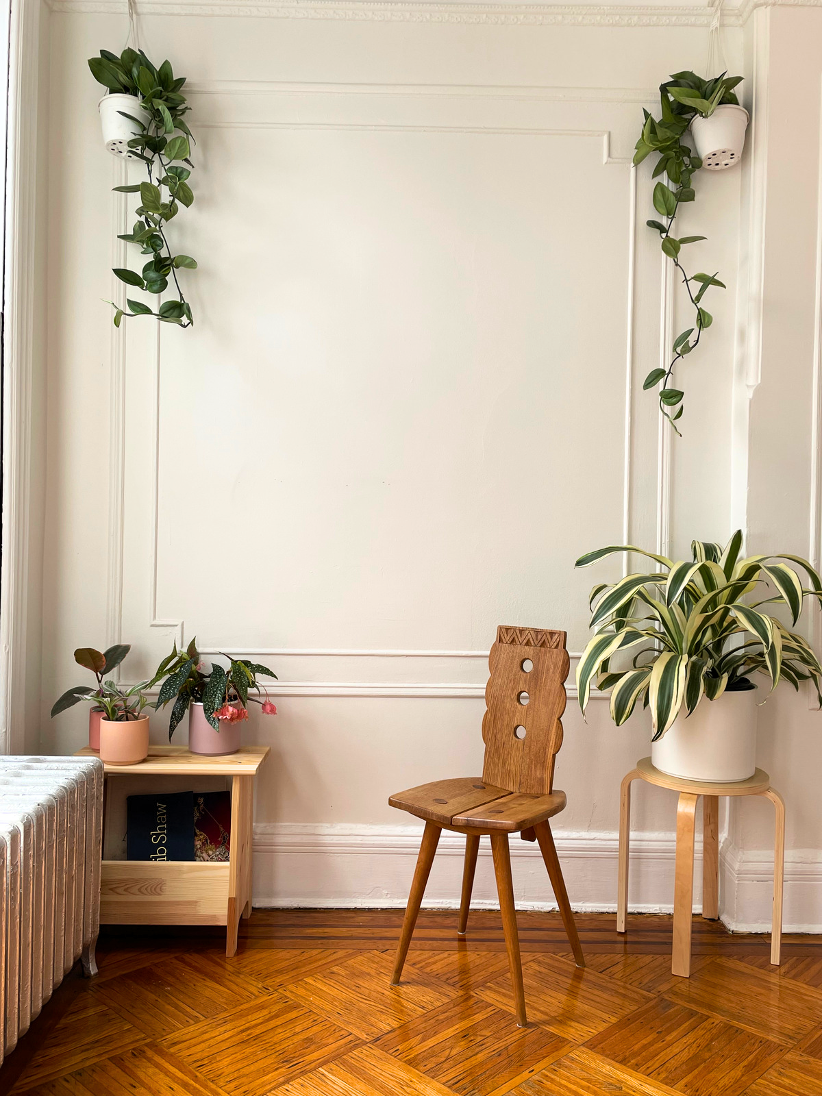 Reading nook with molding on cream white wall, aesthetic and rustic wood chair, dracaena on stool in white pot, various smaller colorful plants including variegated rubber plant in pastel pink and purple pots at left, and two trailing, vining plants on either side at top. Sunlit space.