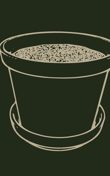 Home Repotting - Members Only